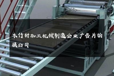 智造未来，共筑绿色家园——专业木竹材加工机械制造企业广告片拍摄服务