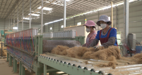 一条竹“链”能延多长？广宁百万亩竹林铺就乡村振兴路